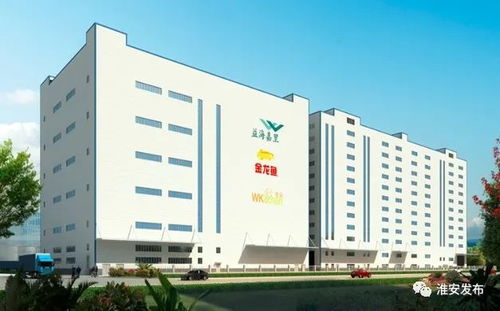 貫徹落實黨代會精神丨益海嘉里糧油深加工項目 助力我市打造國家級食品產業(yè)園